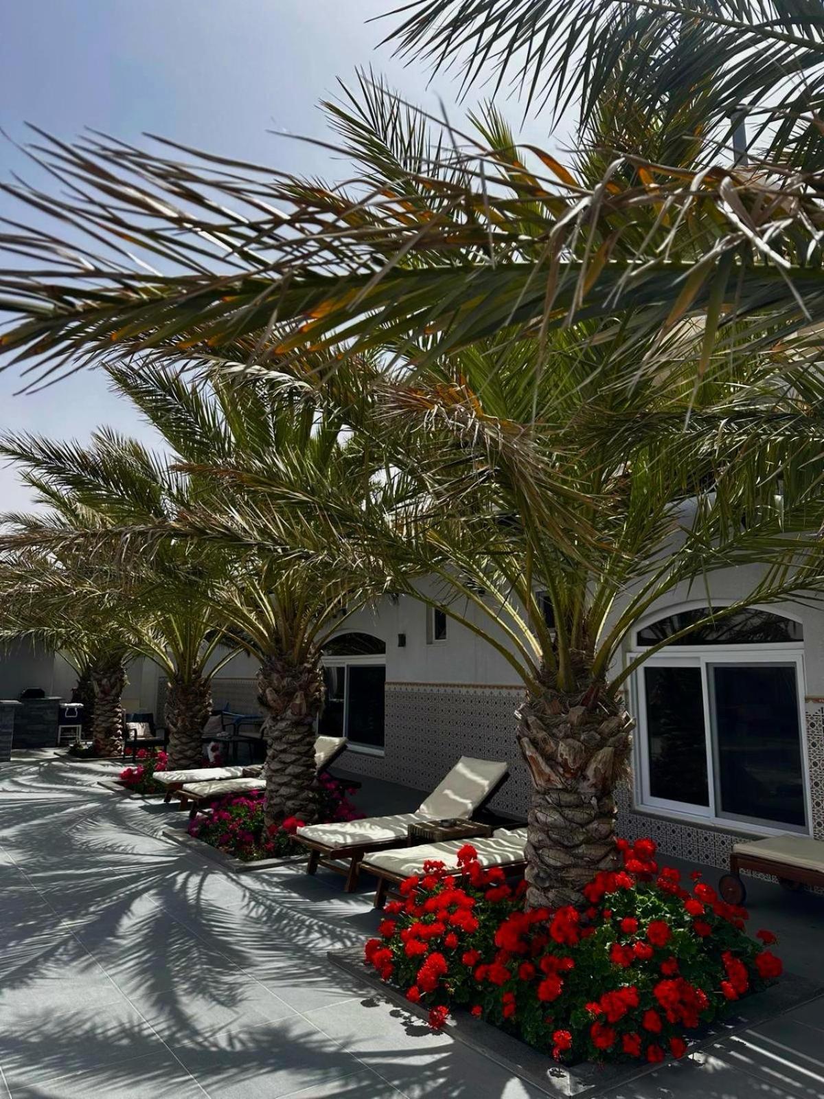 Golden Rays Chalet 马达巴 外观 照片